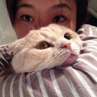 Profile Picture of Harry Shim (@harry-shim) on Quora