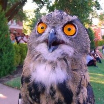 Profile Picture of Garret Hines (@MrSabotageCV) on Twitter