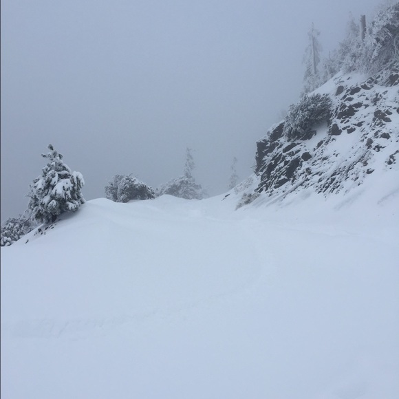 Profile Picture of Edith Pineda (@chaparrota26) on Poshmark