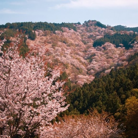 Profile Picture of Adnan Hussain (@xara_dad) on Poshmark