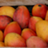 Profile Picture of oficiofotografo (@oficiofotografo) on Flickr