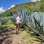 Profile Picture of Luis Alatorre (@luiss_alatorre) on Instagram