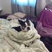 Profile Picture of Candie Modlin (@candiemodlin) on Pinterest