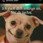 Profile Picture of DanielSchneckenberg (@danielschneckenberg) on Instagram