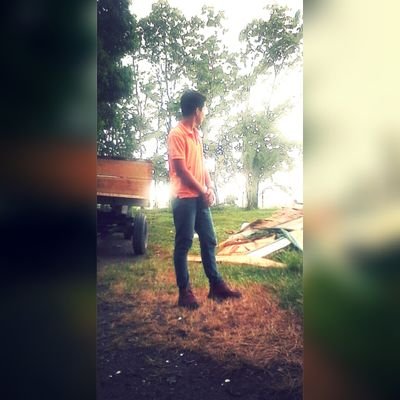 Profile Picture of Joseph Valladares (@josephvalladar5) on Twitter