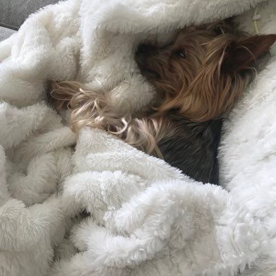 Profile Picture of Michael Zaccaria (@michaelzaccari6) on Twitter