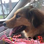 Karan H Richardson - Instagram Profile Picture of Karan H Richardson (@karanhrichardson) on Instagram