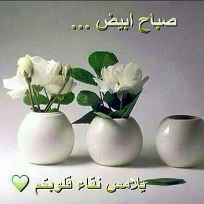 Profile Picture of Joseph.hanaon Twitter