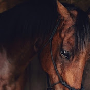 Profile Picture of Ghada Al (@ghadaal5432) on Youtube