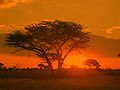 Profile Picture of Matobo National Parkon Wikipedia