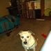 Profile Picture of David Malcom (@david.malcom.1088) on Facebook