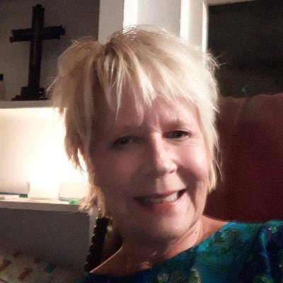 Profile Picture of Diane Hamm (@DianeHamm17) on Twitter