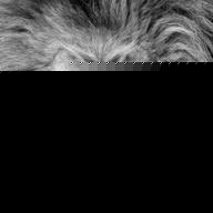 Profile Picture of Quincy Milton (@219940833) on Myspace