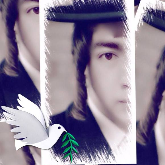 Profile Picture of Harel Schmeltzer (@schmeltzer1986) on Poshmark