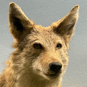 Profile Picture of Michael Bartel (@michaelbartel4312) on Youtube