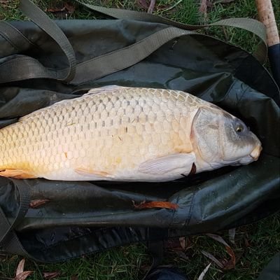 Profile Picture of Steve Mcloughlin (@runningfool1) on Twitter