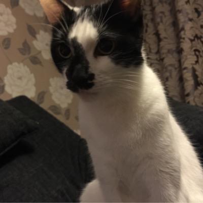 Nathan Bradbury - Twitter Profile Picture of Nathan Bradbury (@NJBradbury) on Twitter