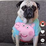 Profile Picture of Raymondchapman (@raymondchapman95) on Instagram