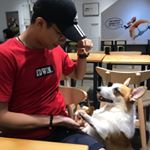 Profile Picture of Sean Chew🐷 (@seanchew1101) on Instagram