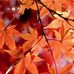 Profile Picture of Judy Maxwell (@judy.maxwell.5015) on Facebook