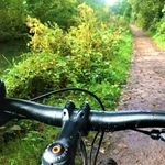 Profile Picture of Bill Powers (@bill_powers_) on Instagram