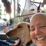 Profile Picture of Vicki Hurd (@urhurd) on Instagram