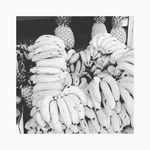 Profile Picture of jodi lorenzo (@jodi_amir1) on Instagram