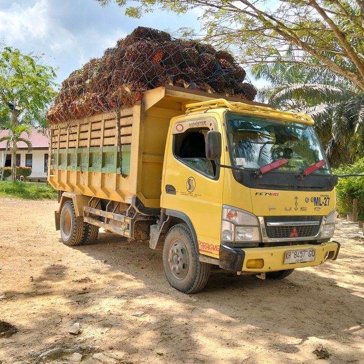 Profile Picture of adam (@adambere) on Tiktok