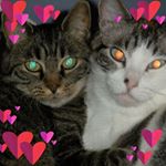 Profile Picture of Nancy Odom (@nodom777) on Instagram