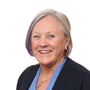 Profile Picture of Maria Fitzpatrick (@MFitzpatrickNDP) on Twitter