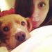 Profile Picture of Jesse Light (@jessaylightt) on Pinterest