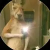 Profile Picture of Jason Guillen (@jason.guillen0) on Tiktok