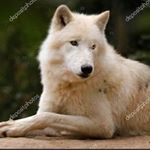 Profile Picture of Γιάννης Μίχος (@johnsv6nmo) on Instagram