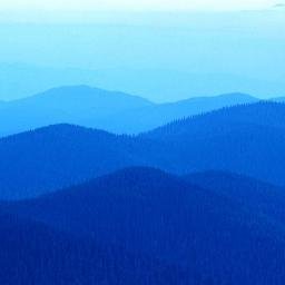 Richa Singla - Twitter Profile Picture of Richa Singla (@richasingla8291) on Twitter