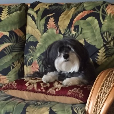 Profile Picture of Mary James Crafton (@AuntMaryJames) on Twitter