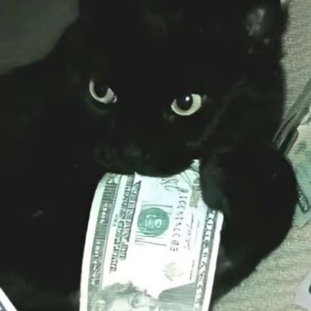 Profile Picture of danielarojas.ramos (@danielarojas.ramos) on Tiktok