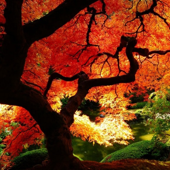 Profile Picture of Taryn Beard (@tarynbeard42) on Poshmark