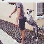 Profile Picture of Rogelio Beltran (@rogeliobeltranc) on Instagram