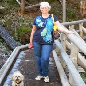 Profile Picture of Beverly Hansen (@bevhansen8) on Pinterest