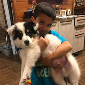 Profile Picture of Dudu E Suas Aventuras (@duduesuasaventuras9727) on Youtube