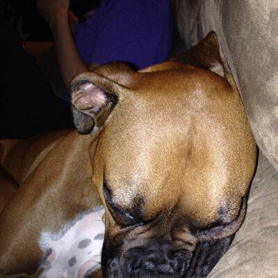 Profile Picture of Jeremy Frierson (@FriersonJeremy) on Twitter