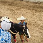 Profile Picture of Adrian Correa (@adrian_correa16) on Instagram