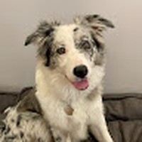 Profile Picture of Burcu ÖztÜrk (@burcu-ÖztÜrk-2) on Quora