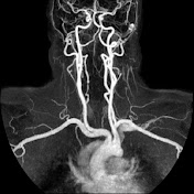 Profile Picture of Adam Koch (@AdamKoch77) on Youtube