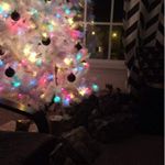 Profile Picture of David Earley (@david.earley.3194) on Instagram