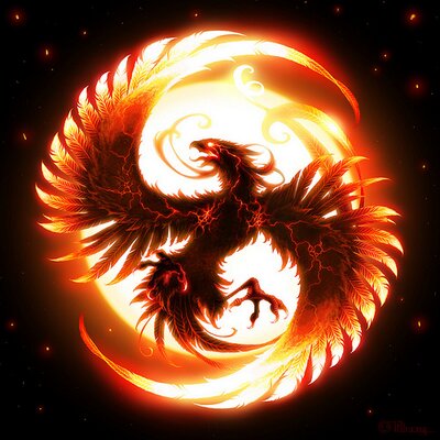 Profile Picture of Nicholas Conte Jr. (@CWPostPhoenix) on Twitter