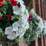Profile Picture of Harold Verge (@haroldverge2019) on Instagram