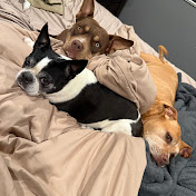 Profile Picture of Haley Bradford (@haleybradford2108) on Youtube