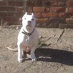 Profile Picture of Nick Glenn (@glenn.nick) on Instagram