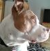 Profile Picture of Stephanie Moates (@stephanie.moates.9) on Facebook
